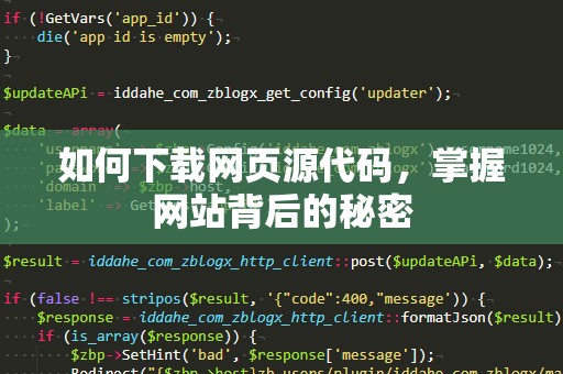 如何下载网页源代码，掌握网站背后的秘密