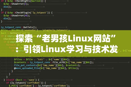 探索“老男孩Linux网站”：引领Linux学习与技术发展的灯塔