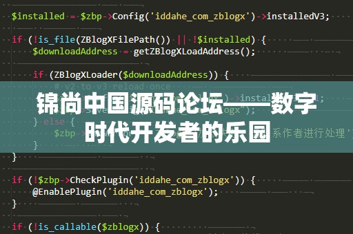 锦尚中国源码论坛——数字时代开发者的乐园