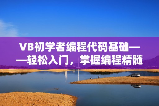 VB初学者编程代码基础——轻松入门，掌握编程精髓