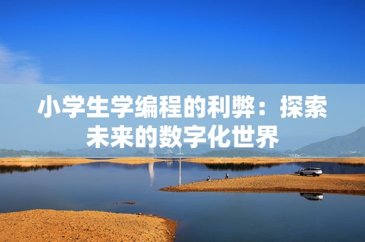 小学生学编程的利弊：探索未来的数字化世界