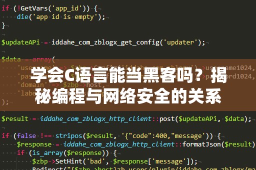学会C语言能当黑客吗？揭秘编程与网络安全的关系