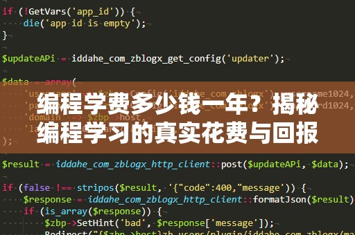 编程学费多少钱一年？揭秘编程学习的真实花费与回报！