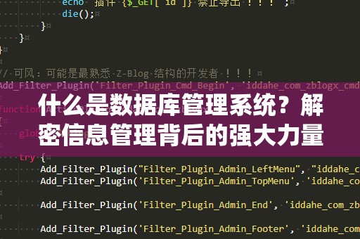 什么是数据库管理系统？解密信息管理背后的强大力量