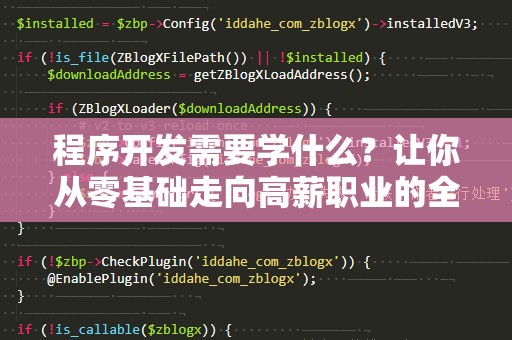 程序开发需要学什么？让你从零基础走向高薪职业的全攻略！