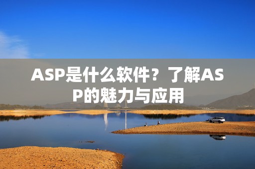 ASP是什么软件？了解ASP的魅力与应用