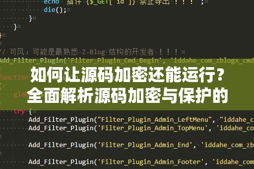 如何让源码加密还能运行？全面解析源码加密与保护的实现方法