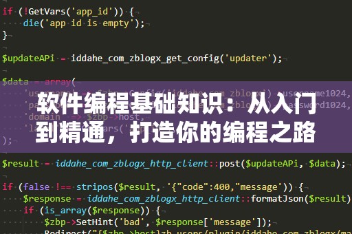软件编程基础知识：从入门到精通，打造你的编程之路