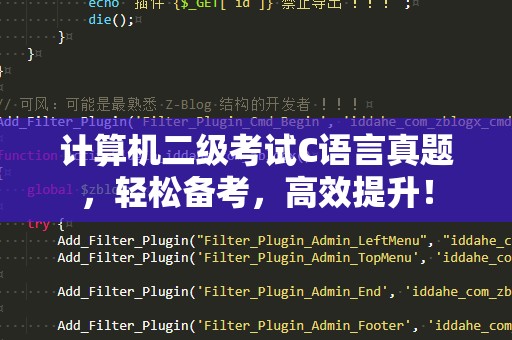 计算机二级考试C语言真题，轻松备考，高效提升！