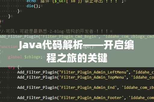Java代码解析——开启编程之旅的关键