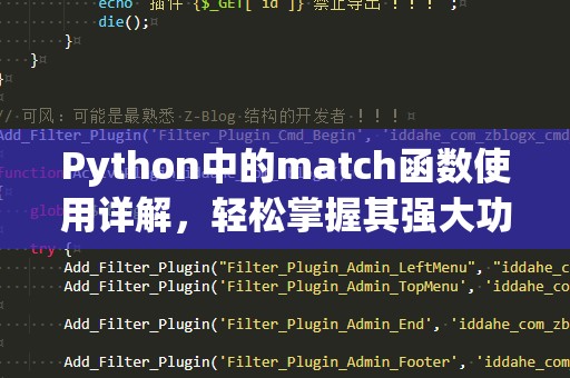 Python中的match函数使用详解，轻松掌握其强大功能！