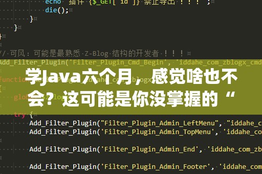 学Java六个月，感觉啥也不会？这可能是你没掌握的“关键”！