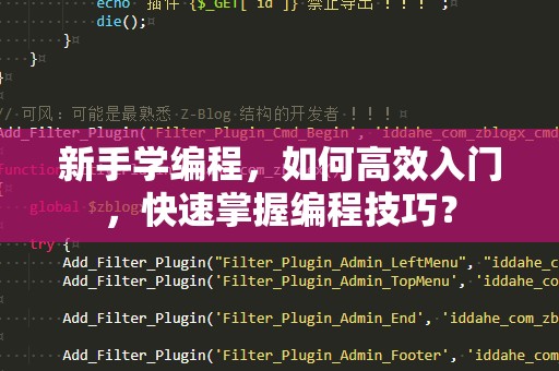 新手学编程，如何高效入门，快速掌握编程技巧？