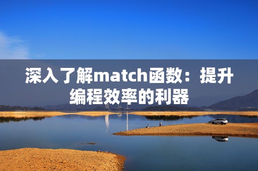 深入了解match函数：提升编程效率的利器
