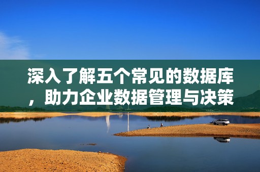 深入了解五个常见的数据库，助力企业数据管理与决策