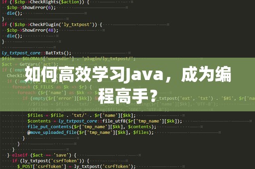 如何高效学习Java，成为编程高手？