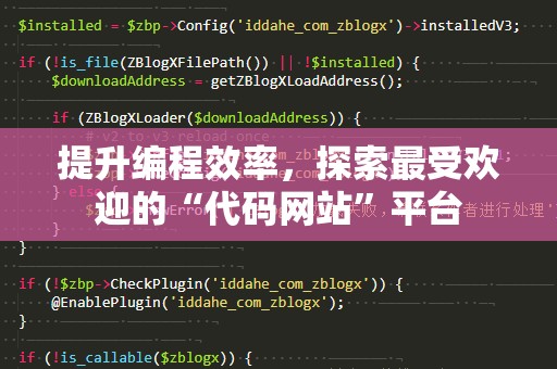 提升编程效率，探索最受欢迎的“代码网站”平台