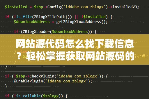 网站源代码怎么找下载信息？轻松掌握获取网站源码的技巧