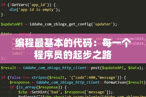 编程最基本的代码：每一个程序员的起步之路