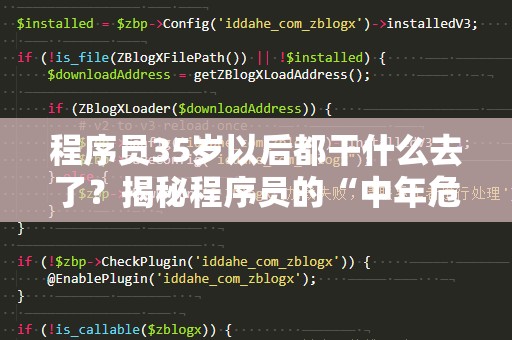 程序员35岁以后都干什么去了？揭秘程序员的“中年危机”与蜕变之路