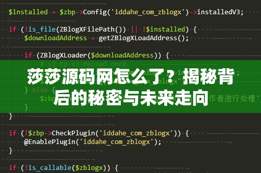 莎莎源码网怎么了？揭秘背后的秘密与未来走向