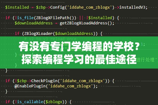 有没有专门学编程的学校？探索编程学习的最佳途径