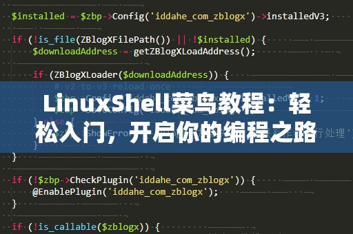LinuxShell菜鸟教程：轻松入门，开启你的编程之路