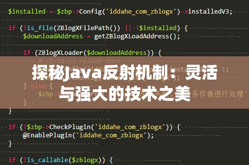 探秘Java反射机制：灵活与强大的技术之美