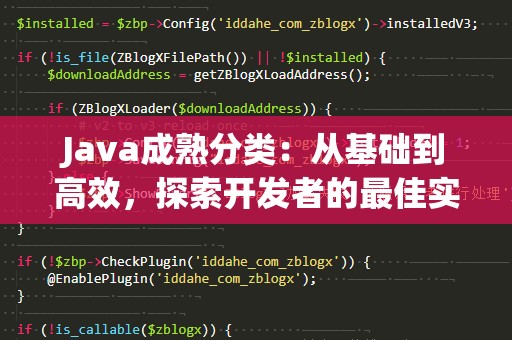 Java成熟分类：从基础到高效，探索开发者的最佳实践