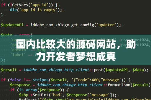 国内比较大的源码网站，助力开发者梦想成真