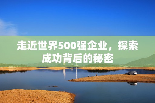 走近世界500强企业，探索成功背后的秘密
