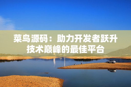 菜鸟源码：助力开发者跃升技术巅峰的最佳平台