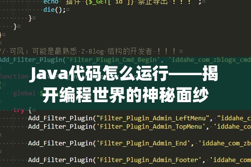 Java代码怎么运行——揭开编程世界的神秘面纱