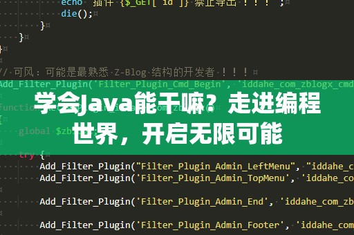 学会Java能干嘛？走进编程世界，开启无限可能