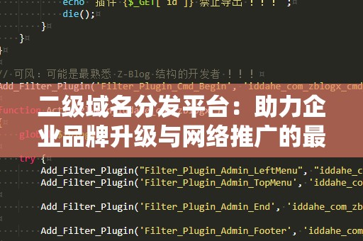 二级域名分发平台：助力企业品牌升级与网络推广的最佳选择