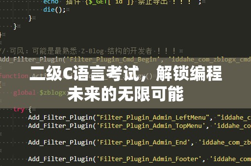 二级C语言考试，解锁编程未来的无限可能