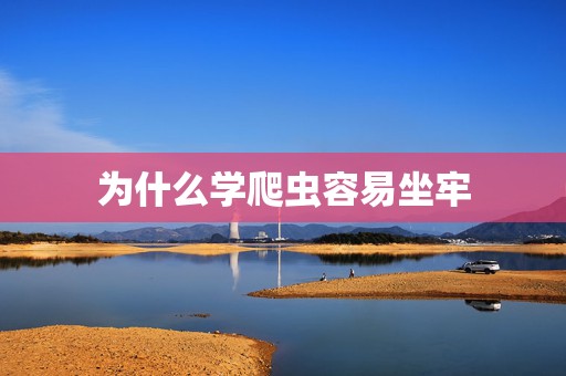 为什么学爬虫容易坐牢